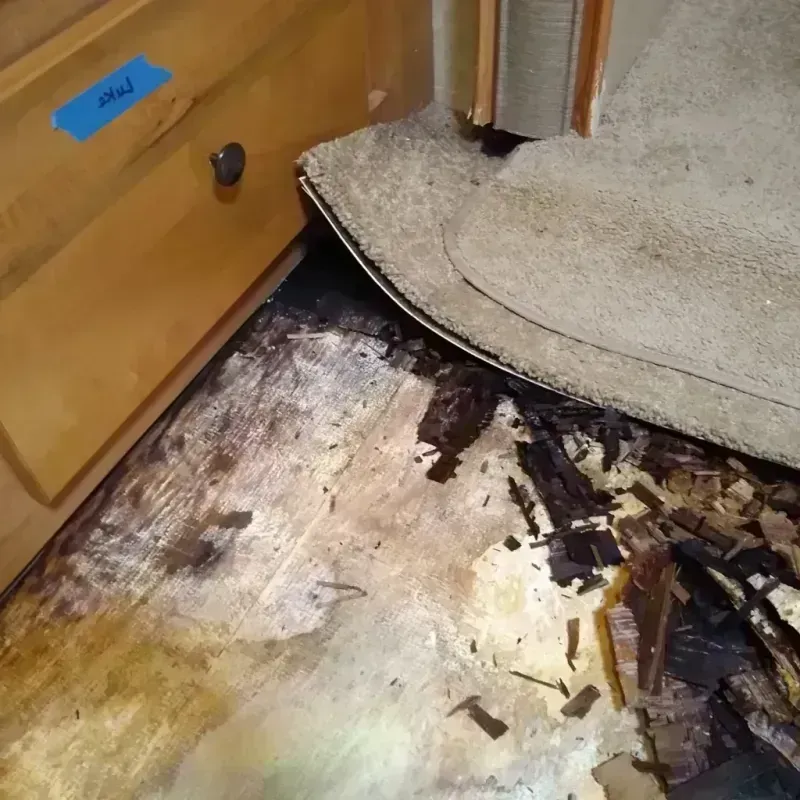 Wood Floor Water Damage in Memphis, TN